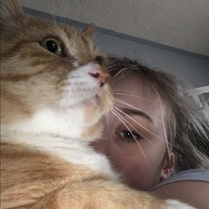 Meet your Posher, Ashley